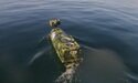 Californiano registra submarino misterioso durante remada na Califórnia (EUA). Foto: Osher Gunsberg